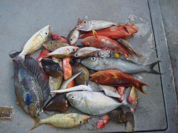 免签的塞班岛上天下海,塞班岛这个免签海岛美到尖叫