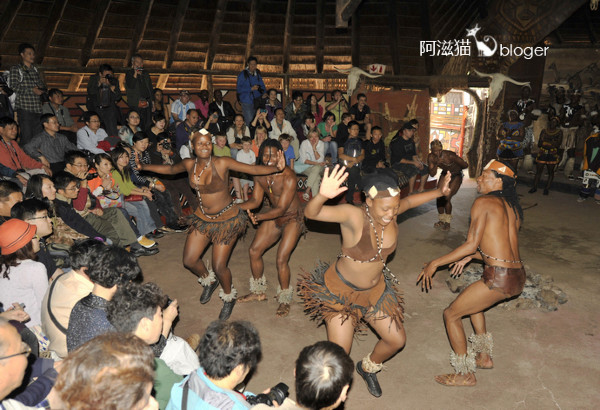 最正宗的非洲美食,非洲好吃的美食合集