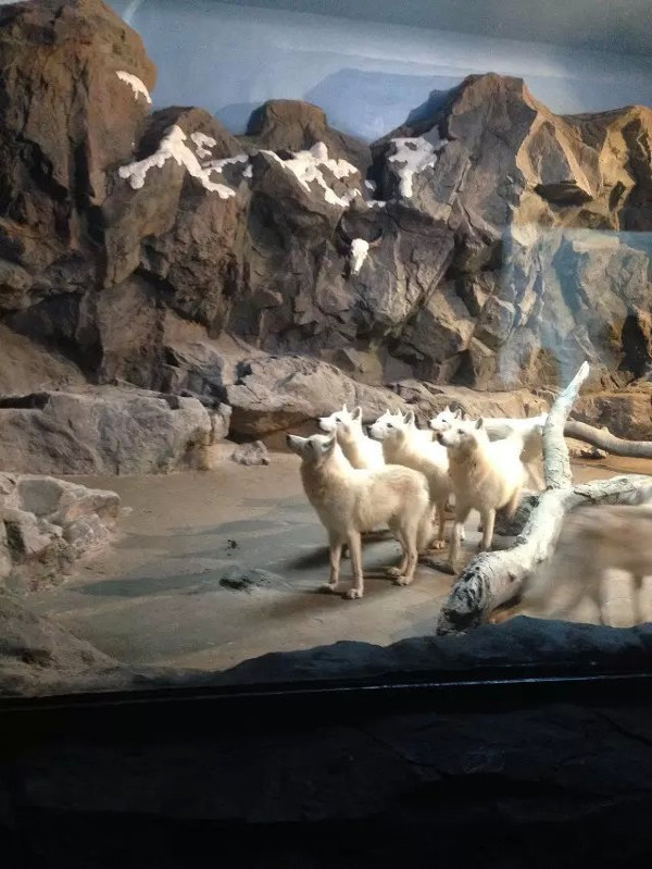 珠海长隆海洋王国攻略2天亲子游,珠海长隆海洋王国旅游亲子攻略