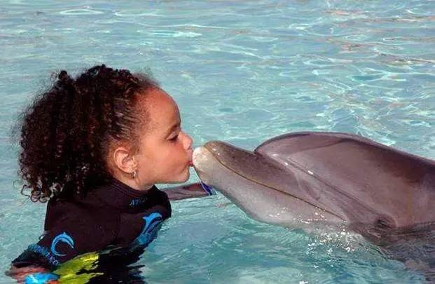 大猩猩给老虎喂奶,大猩猩给老虎喂奶太温馨太感动了