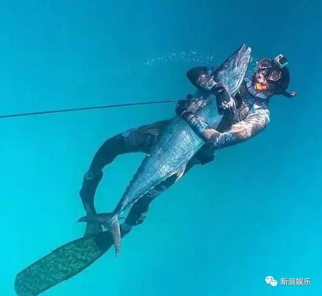 文莱王子宠老虎的画面好苏！各国高质量王子，哪个是你的菜？