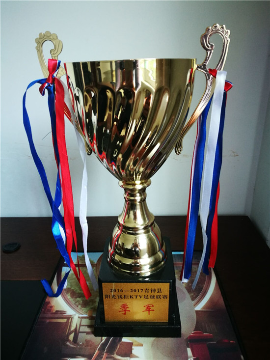 青神足球比赛,青神县第十二届足球赛