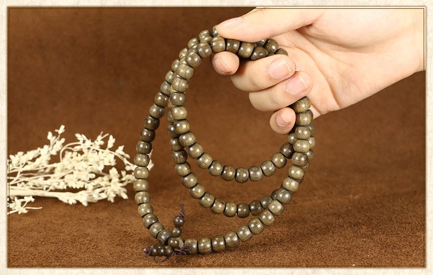 楠木家具金丝楠,金丝楠的楠木苗