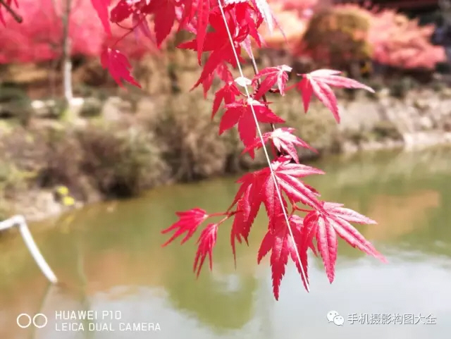 你一定要知道的夜景拍摄教程,怎样拍夜景才能人像清晰背景明亮