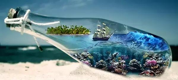 作者：张梦宁我再也不轻信了！