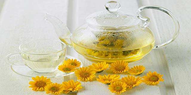 长痘喝菊花有用吗,额头长痘痘可以喝菊花茶吗