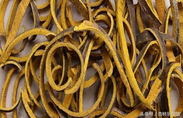 金匮要略湿热下注治脚气,中医治疗寒湿脚气医案