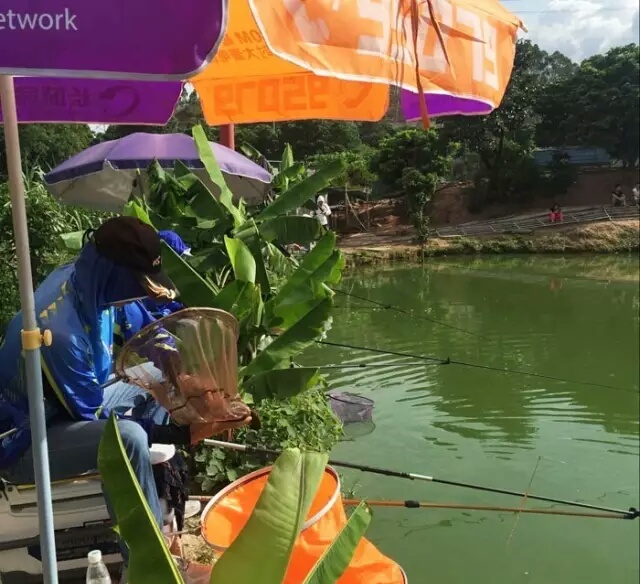 盘点几款最好用的钓鱼小药,钓鱼小药种类解析