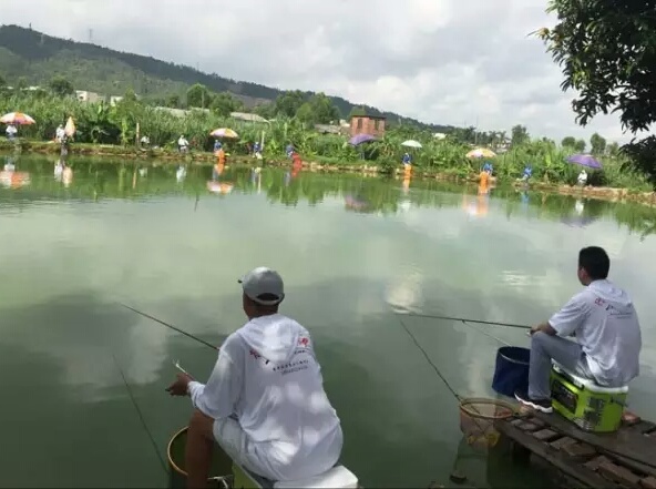 盘点几款最好用的钓鱼小药,钓鱼小药种类解析
