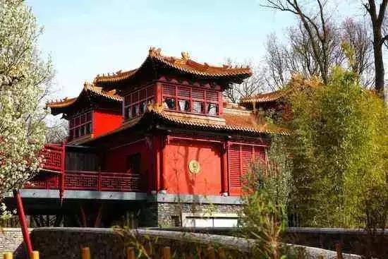 荷兰迎接中国大熊猫,大熊猫在国外有警车开道