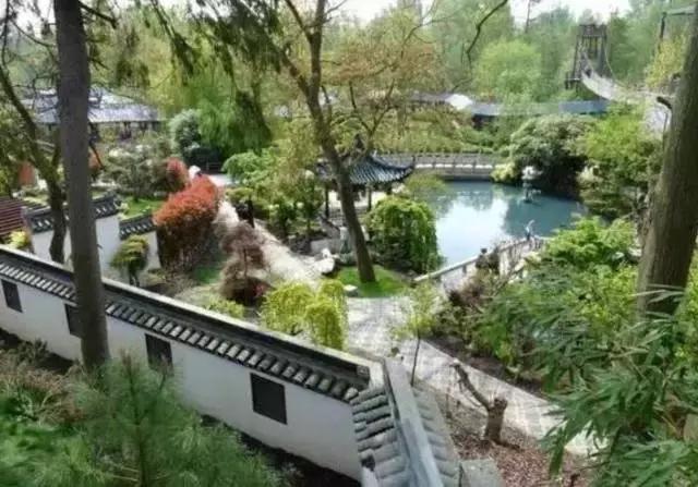 荷兰迎接中国大熊猫,大熊猫在国外有警车开道