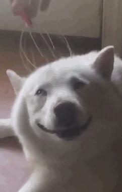 这广告打的我猝不及防,这广告打得我猝不及防什么意思