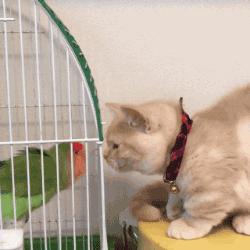 这广告打的我猝不及防,这广告打得我猝不及防什么意思