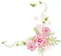 繁花似锦春天到来,繁花似锦的春天如约而至