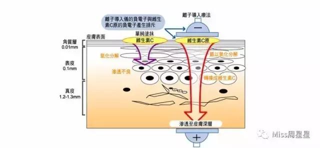 专家来告诉你美容仪真的管用吗,美容仪真的有用吗运用了哪些原理