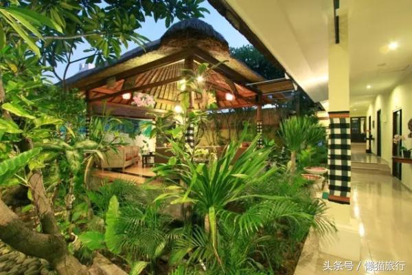 巴厘岛spa视频教学,巴厘岛最神奇的spa按摩