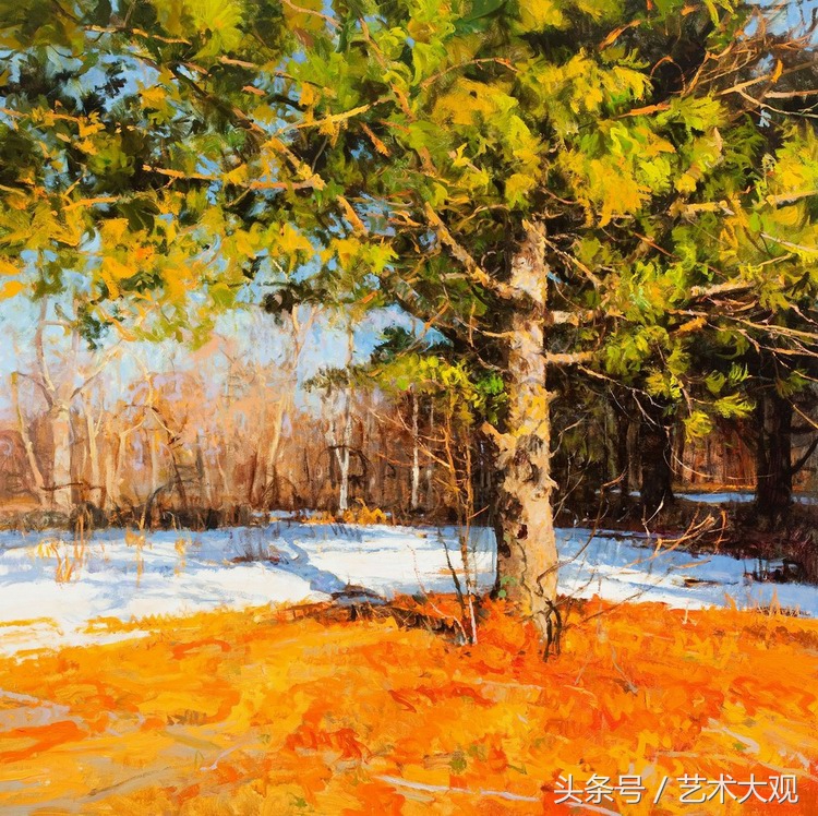 傅大力油画风景写生视频,张冬峰油画风景写生视频