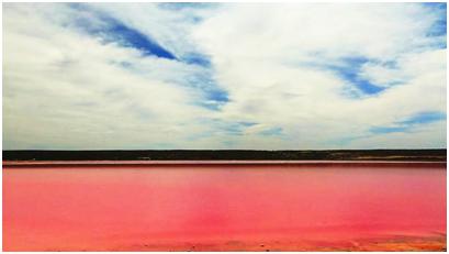 海量原料成本比别人高1-3倍，这家公司咋做生意的？