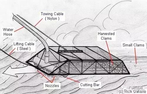 鍔犳嬁澶у寳鏋佽礉鎺ㄨ崘,榛勯噾璐濆寳鏋佽礉