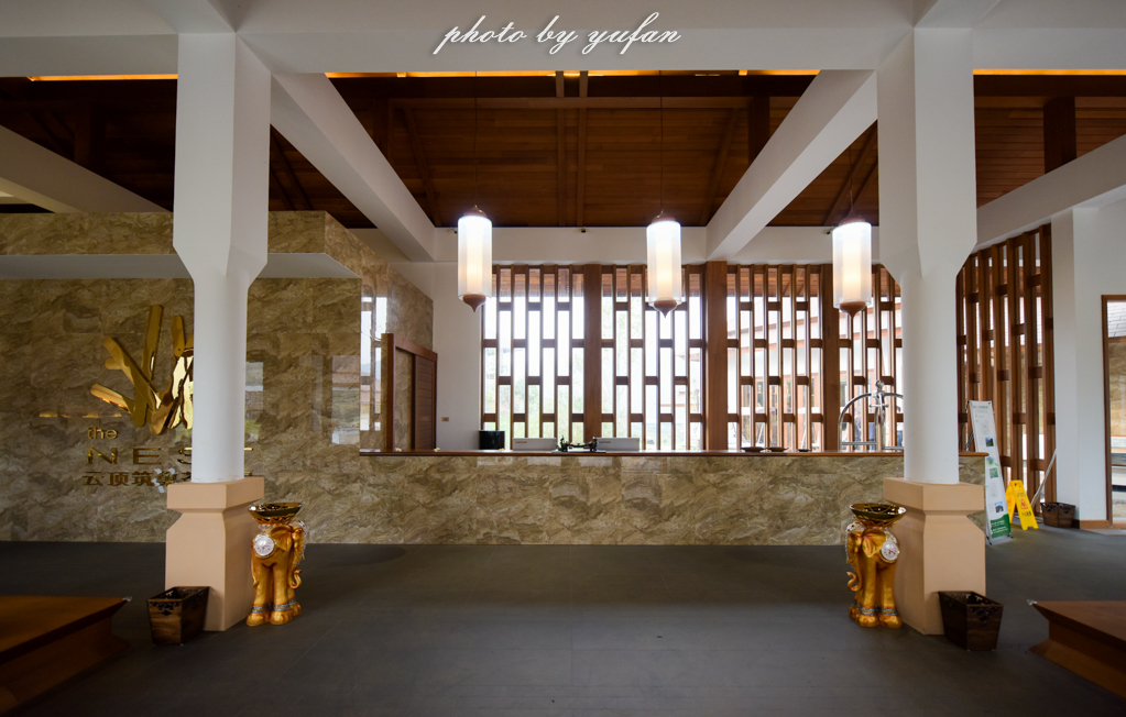 云端上的世外桃源，看看浇灌牛奶和土鸡蛋的有机乌龙茶长成啥样