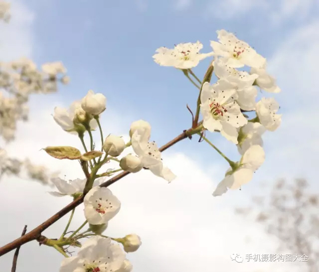 你一定要知道的夜景拍摄教程,怎样拍夜景才能人像清晰背景明亮
