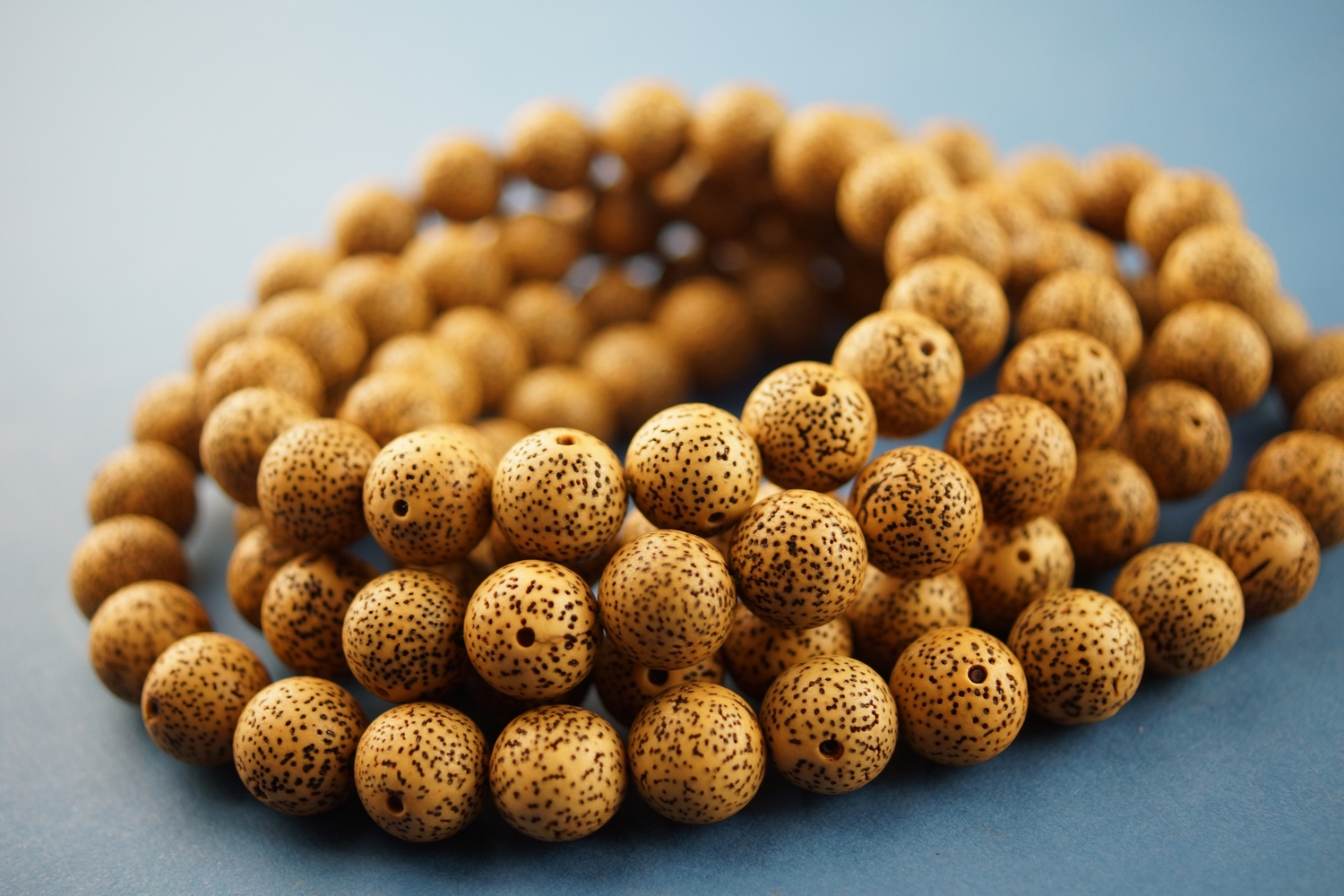 怎么选择属于自己的菩提,怎么选择适合自己的菩提