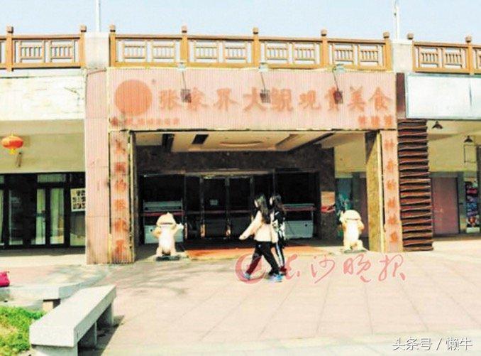 执着少年放弃外企高薪身居大山养大鲵，3年亏损上百万仍不言放弃