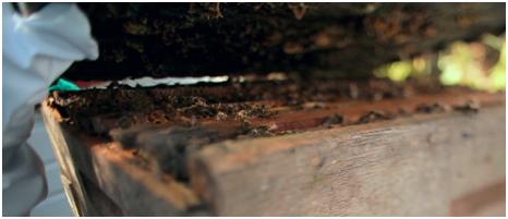 海量原料成本比别人高1-3倍，这家公司咋做生意的？