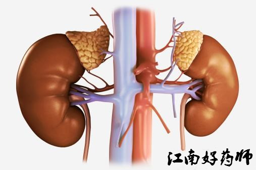 必看超全的临床常用化验单解读,手把手教你看懂医院化验单