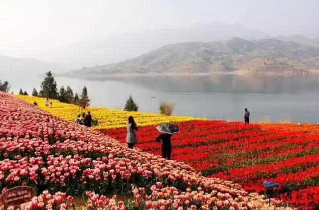 又一封辞职信火了！只因TA来了一趟巫山！