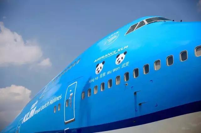 荷兰迎接中国大熊猫,大熊猫在国外有警车开道