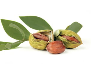 自制好用的手工玩具,自制好用的面膜