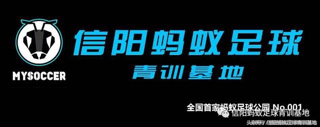 信阳蚂蚁足球排位赛,蚂蚁足球青训课堂