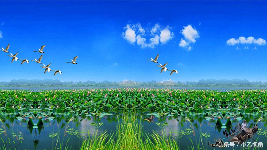 山东省济宁市微山湖旅游,济宁微山湖风景图片