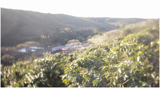 海量原料成本比别人高1-3倍，这家公司咋做生意的？