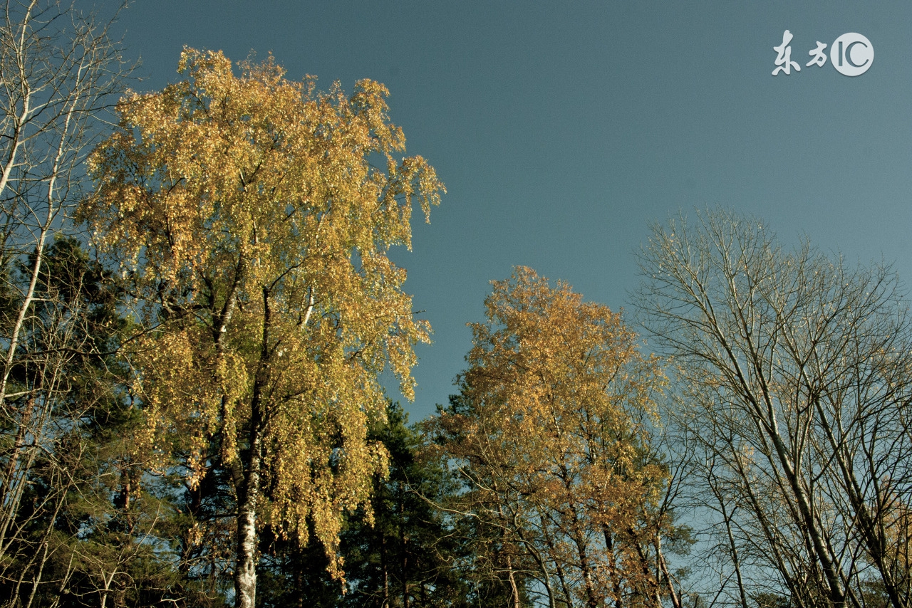 一眼相识一世相忘,一时相识一世相忘图片