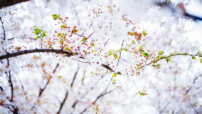 你和上帝的视角只差一台无人机！大连-旅顺