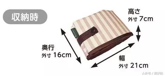 爱妖经｜赛场猫咪同款用品，主子们都拒绝不了的诱惑