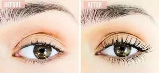 赫莲娜睫毛膏豹纹和蟒纹哪个好用,强烈推荐超好用的睫毛膏