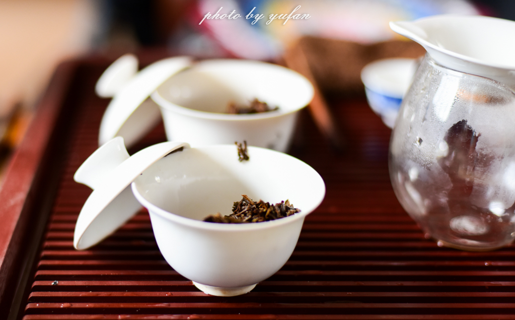 云端上的世外桃源，看看浇灌牛奶和土鸡蛋的有机乌龙茶长成啥样