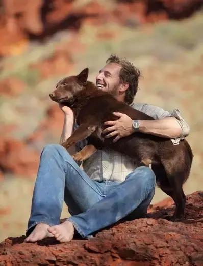 带你家狗狗一起看的电影,带宠物一起去看电影吧