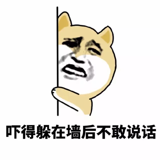 新人快跑小黄狗表情包,搞笑小黄狗表情包