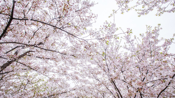 你和上帝的视角只差一台无人机！大连-旅顺