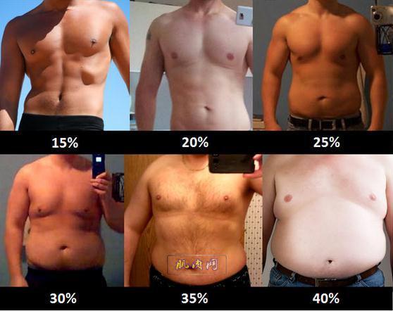 男女体脂率bmi对照表,男女体脂率高清对照图