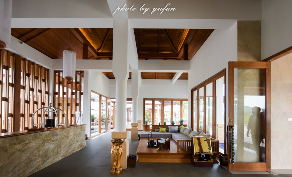 云端上的世外桃源，看看浇灌牛奶和土鸡蛋的有机乌龙茶长成啥样