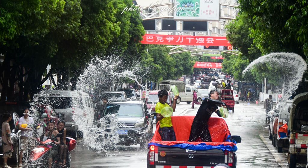 云端上的世外桃源，看看浇灌牛奶和土鸡蛋的有机乌龙茶长成啥样