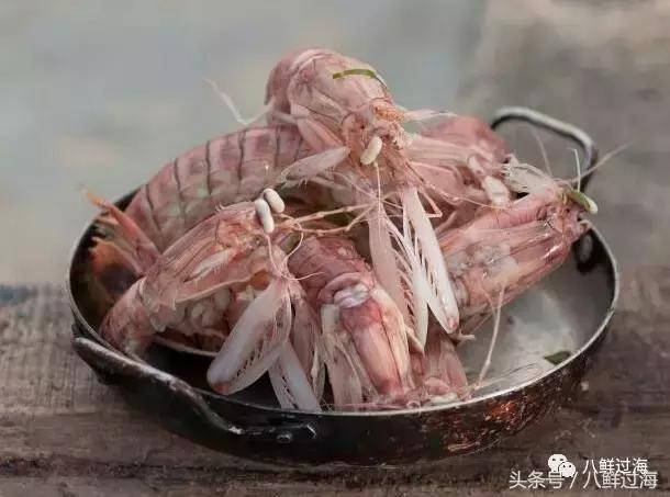 比手臂还粗的皮皮虾你吃过了吗,比手臂还大的皮皮虾吃起来超过瘾