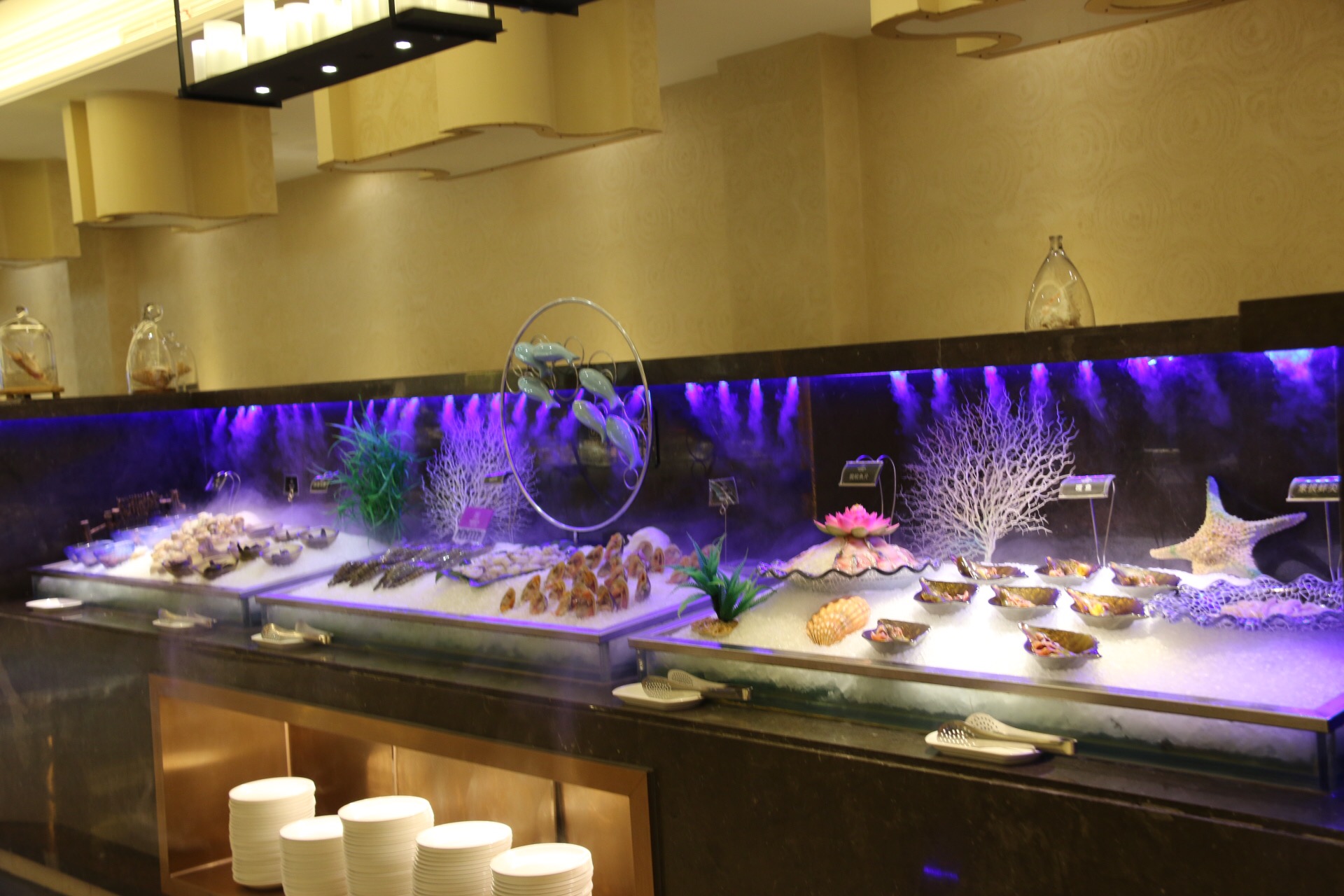 新鲜海洋海鲜,大海的味道不容错过冰鲜海鲜