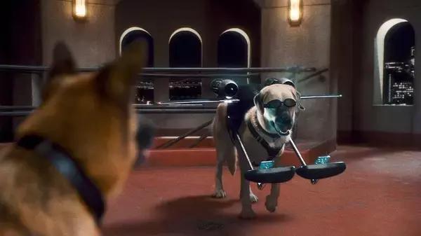 带你家狗狗一起看的电影,带宠物一起去看电影吧