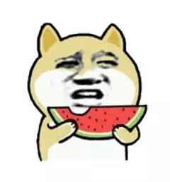 新人快跑小黄狗表情包,搞笑小黄狗表情包